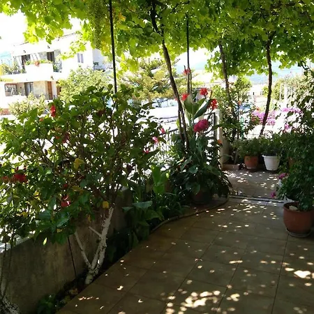 Nostalgia A In 50 Metres From The Sea