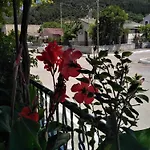 Nostalgia A In 50 Metres From The Sea * Σάμη