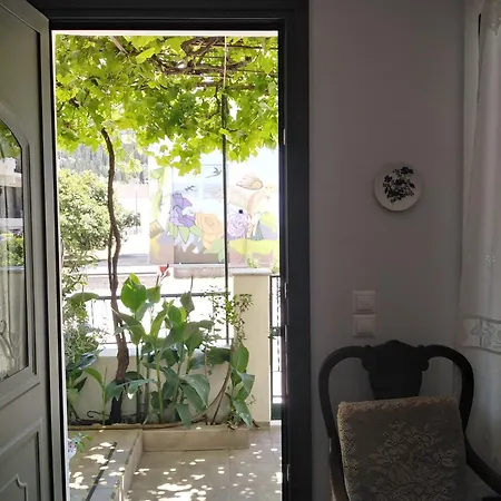 Nostalgia A In 50 Metres From The Sea *