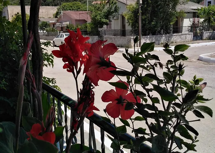 Nostalgia A In 50 Metres From The Sea * Sami (Kefalonia)