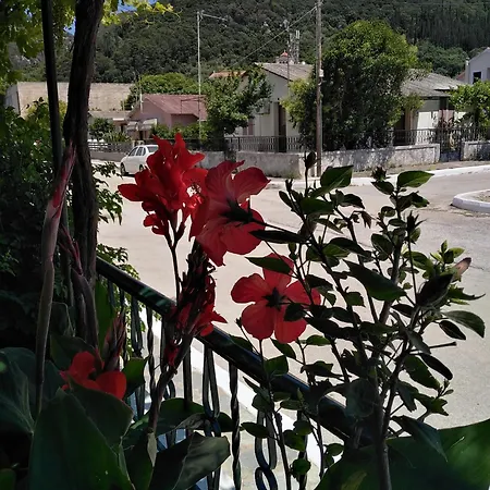 Nostalgia A In 50 Metres From The Sea * Sami (Kefalonia)